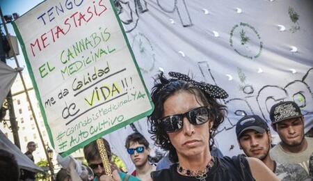 Cannabis medicinal: leyes en provincias argentinas no ayudaron
