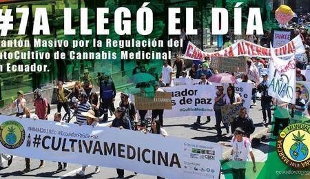 Ecuador cerca del cannabis medicinal