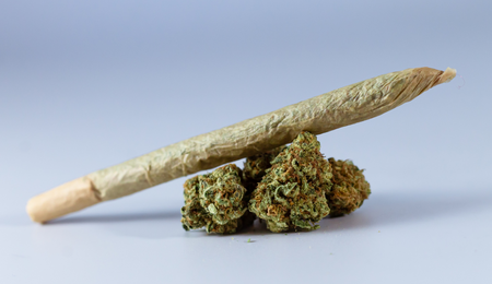 popular cannabis strains 