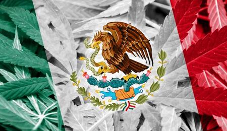 La bandiera del Messico