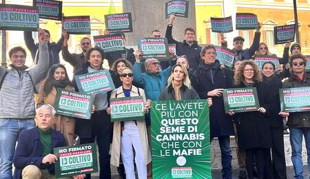 Cannabis: il Senato apre al DDL "Io Coltivo". È l’inizio di una nuova era?