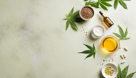 Castilla: Cultura Cannabis un libro imprescindible de la cultura cannábica.