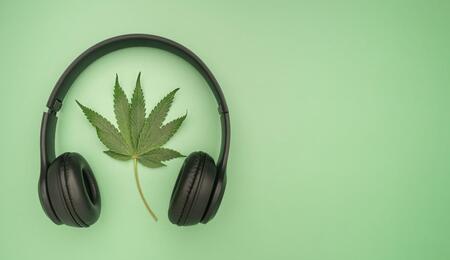  Discover 8 cannabis podcasts covering cultivation, science, business, history, and edibles. Find your next summer listen with shows worth tuning into.