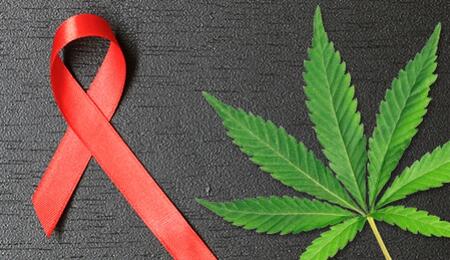 Cannabis per alleviare il dolore da HIV