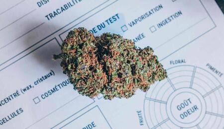 the DEA have ordered the immediate reclassification of cannabis from Schedule I to Schedule III of the Controlled Substances Act.