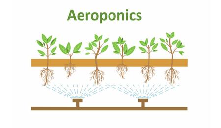 Aeroponics diagram