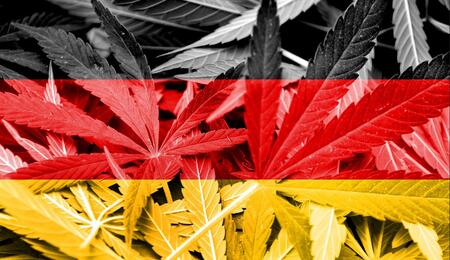 Allemagne : les détails de la légalisation présentés par le ministre de la santé 
