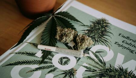  This prohibitionist group argues that rescheduling would benefit Chinese cartels and trivialize cannabis use
