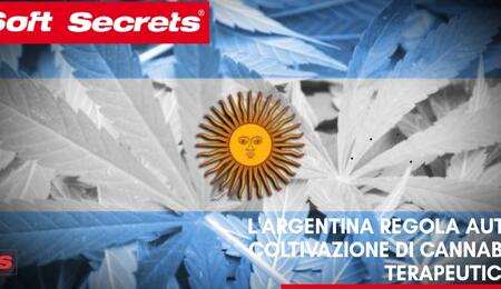 L’Argentina regola l’accesso alla cannabis terapeutica