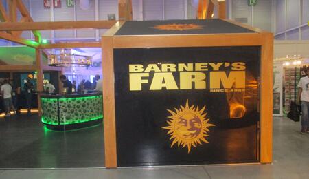 Échec de la fusion entre Barney's Farm, Sensi Seeds et ILGM