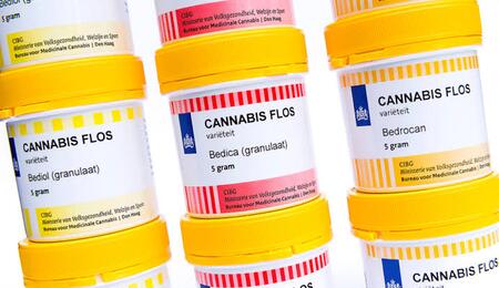 Bedrocan, medica, terapeutica, fallimento