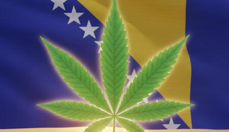Bosna a Hercegovina: léčebné konopí už není tabu