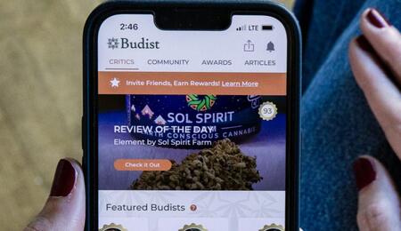 Budist: platforma pro recenze konopí