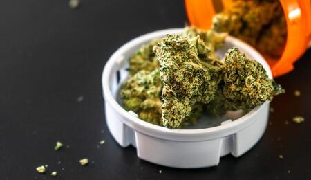 CBD: contra miedo pánico y ansiedad sin efecto psicoactivo.