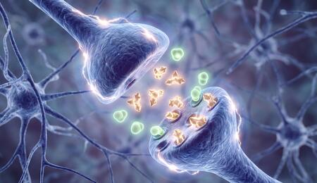 ilustración de la sinopsis neuronal 