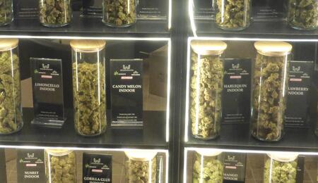 Une pétition contre les nouvelles taxes sur le CBD