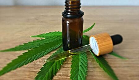 increased amounts of CBD does not reduce THC effect
