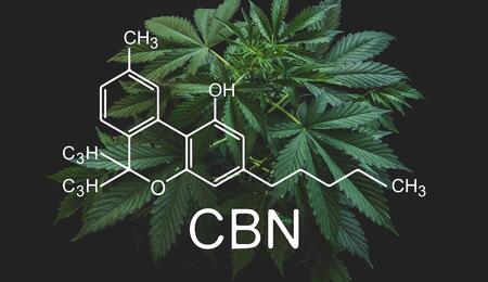 Le CBN est-il le nouveau cannnabinoïde tendance ?