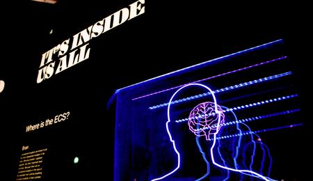 The study found positive results without causing the “high” associated with cannabis.