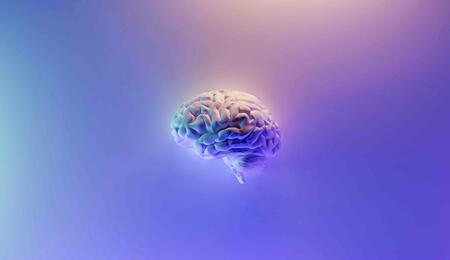 For decades, researchers have explored the long-term effects of chronic cannabis use on brain structure, particularly whether any changes are permanent