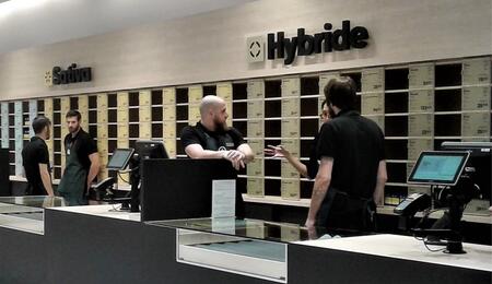 Canada : les ventes mensuelles de cannabis inférieures à un demi-milliard de dollars  