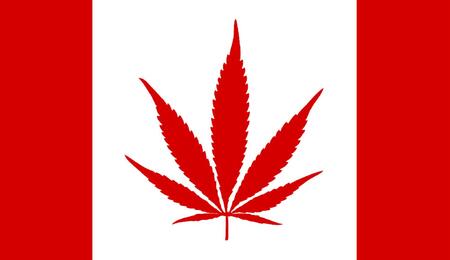 Canada : prés de 80 % du cannabis est acheté légalement