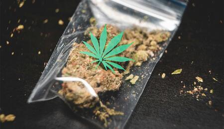 Eine große Mehrheit von deutschen Cannabis-Patienten zieht es vor, das medizinisches Cannabis in Apotheken zu kaufen.