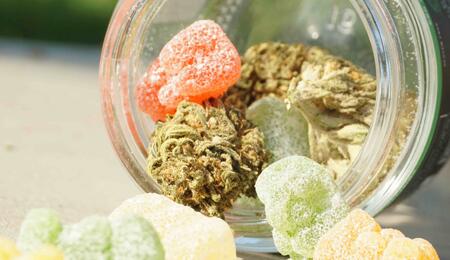 Cannabis edibles pose unique risks due to delayed onset and high THC concentrations. Read our analysis on mental health, potency, and safe practise