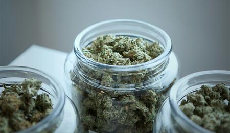 Rund 65.000 Patienten werden die Erstattungen für Cannabis-Blüten aus der gesetzlichen Krankenversicherung gestrichen.