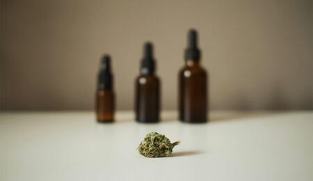 Cannabis kann Menschen mit problematischem Drogenkonsum helfen