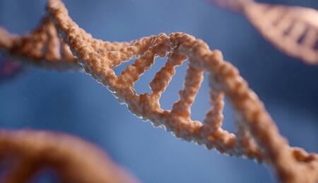 Cannabis use and epigenetics