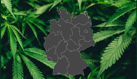 Cannabis-Bußgeldkataloge: Bayern als Vorbild? 