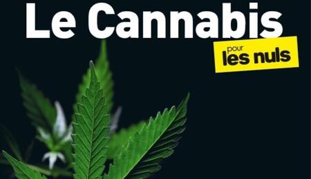 Le Cannabis pour les nuls : un livre de Nicolas Authier et Véronique Julia