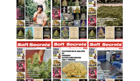 Mejores-artículos-del-periódico-Soft-Secrets-2023