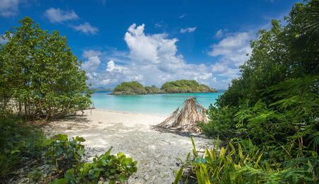  This pivotal vote holds the potential to transform Caye Caulker into a prominent cannabis destination within the Caribbean, attracting tourists & new business