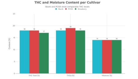  Culture sans phase végétative : un système racinaire robuste