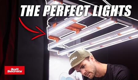 Video: instala luces led de marihuana en interior