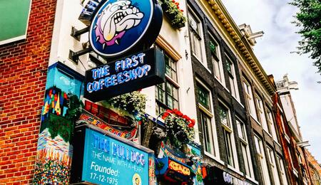 Top Strain Choice in Dutch Coffeeshops is 13.8% THC