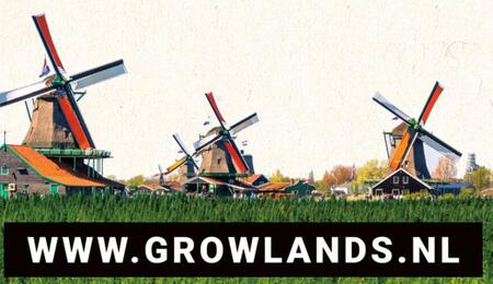 Growlands : la première foire cannabique aux Pays-Bas depuis 13 ans