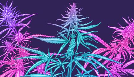 Soft Secrets Selection Novembre 2025