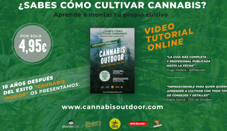 Aprende todo sobre el cultivo de marihuana exterior con Cannabis Outdoor
