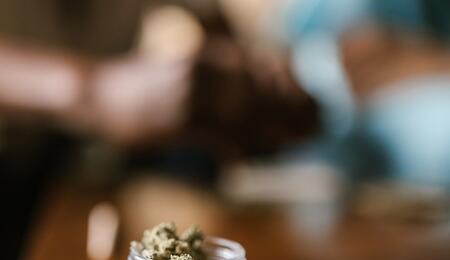 Decriminalisation has no effect on drug overdoses, says new study