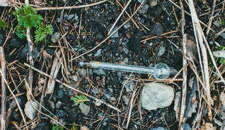 Brasilianische Studie sieht Cannabis als Ausstiegsdroge
