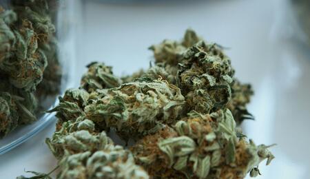 New Cannabinoid Discovered