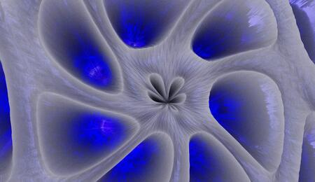 Endocannabinoids: The Natural System That Balances the Body