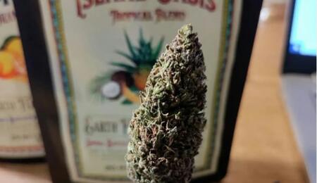 mano con guante sosteniendo un cogollo de marihuana sobre una mesa y un paquete de fondo