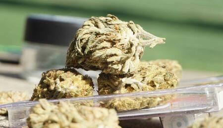 Medical cannabis will only be available at selected pharmacies, which may develop their own online sales systems
