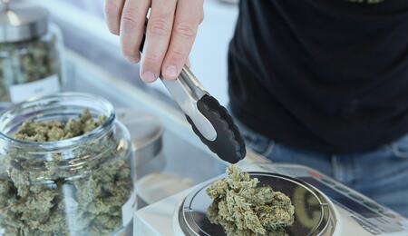 Germany ready to roll out pilot trial for recreational cannabis.