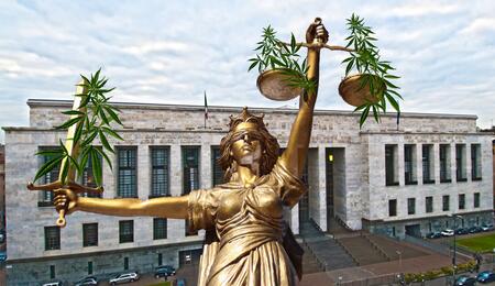 Cannabisanbau ist kein Verbrechen - das sagt das italienische Gesetz