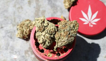 grinder rojo con cogollos de marihuana